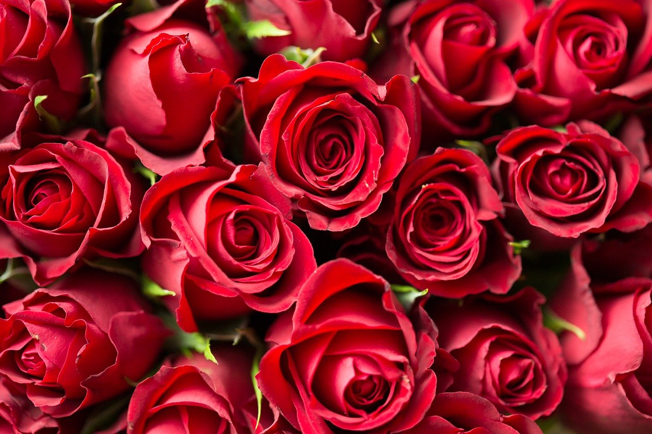 99支玫瑰求婚, 99枝紅玫瑰, Moon Florist -pic01