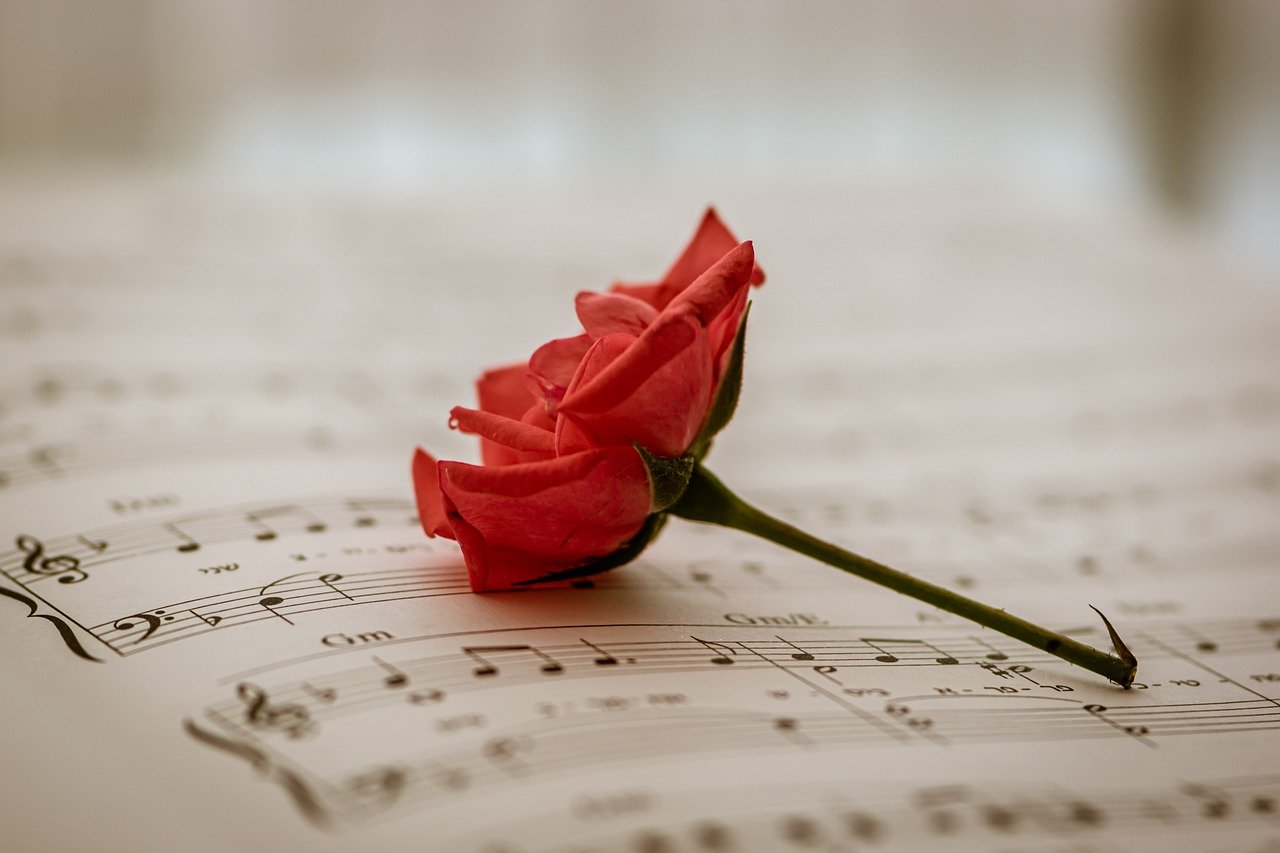 99支玫瑰求婚, 99枝紅玫瑰, Moon Florist -pic03