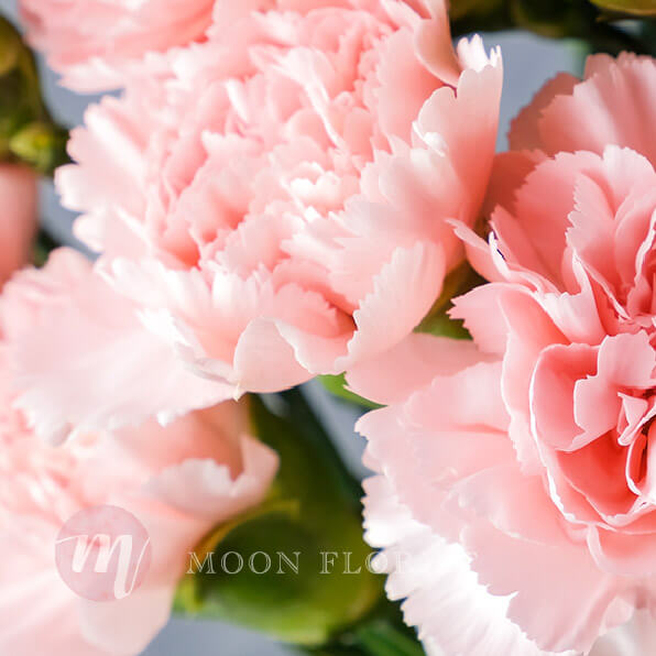 康乃馨花束, 康乃馨, Moon Florist 母親節康乃馨花束 -carnation04