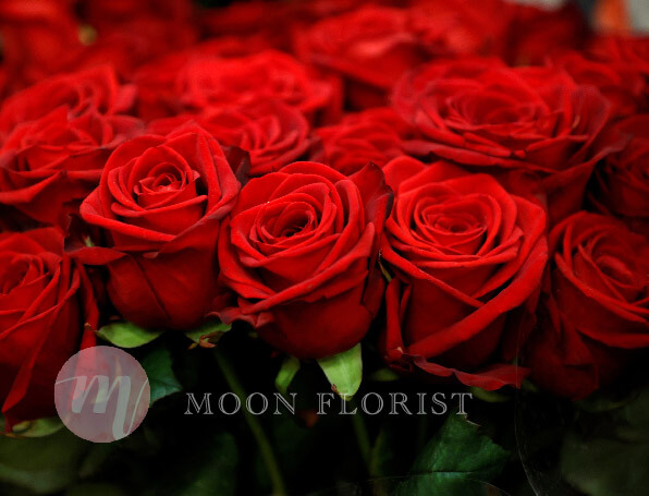 情人節花束, 訂情人節花束, Moon Florist -rose