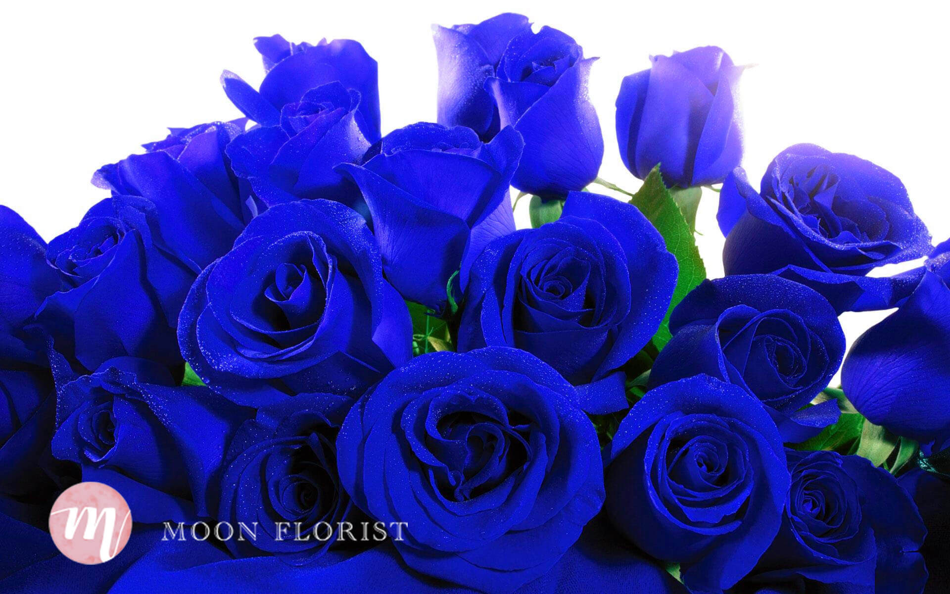 99支玫瑰求婚, 99枝紅玫瑰, Moon Florist -blue rose