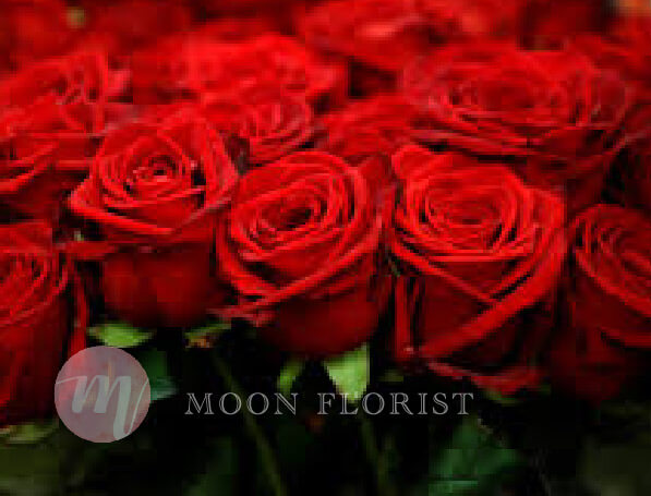 母親節花束, 母親節花, Moon Florist -rose