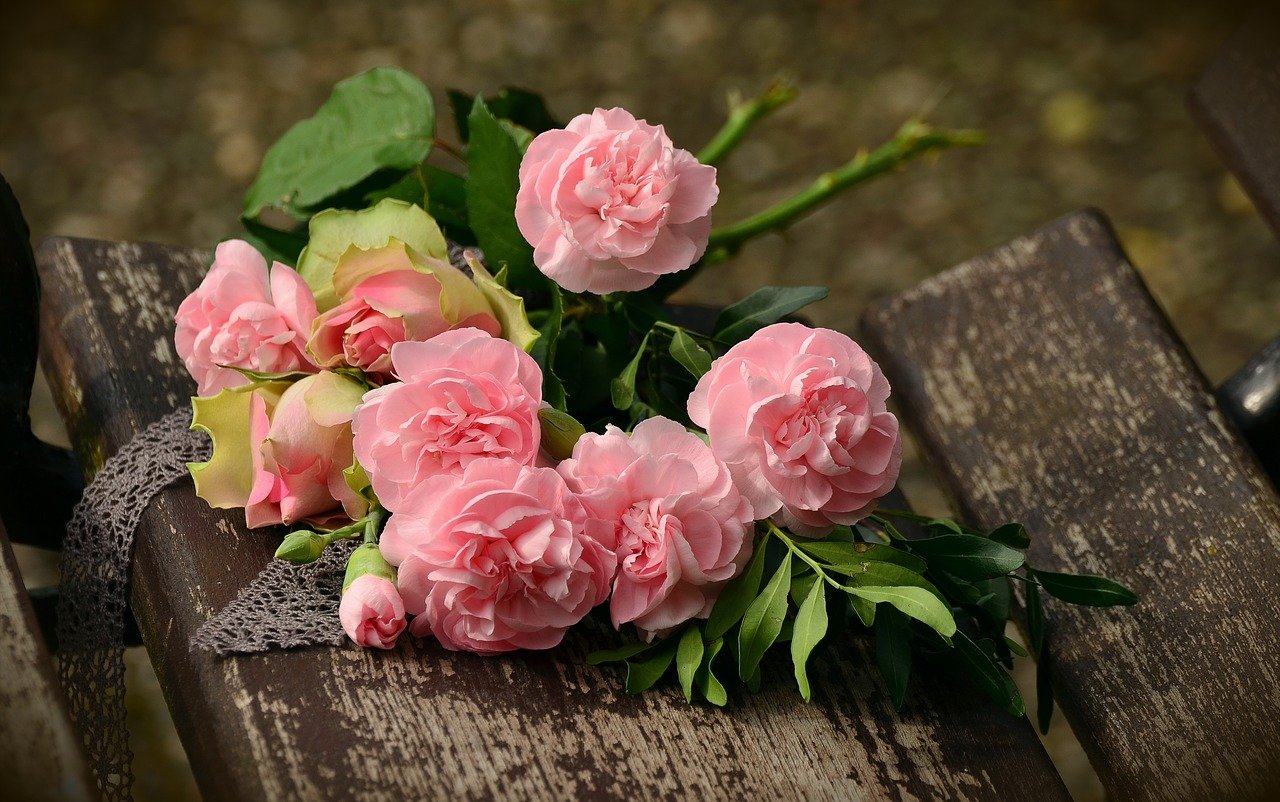 roses, pink roses, flowers-1463562.jpg