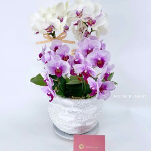 蘭花, 蘭花擺設, Moon Florist 蘭花訂購 -4枝粉紫+米白小蘭花01