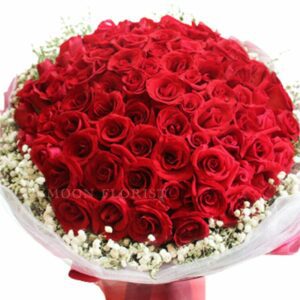 99支玫瑰求婚，99枝紅玫瑰230509041