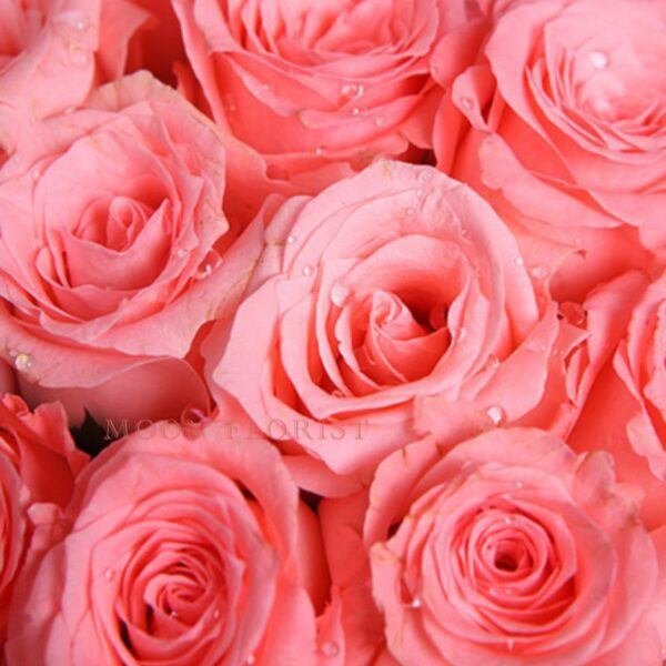 玫瑰花束，玫瑰花，紅玫瑰花束230508064