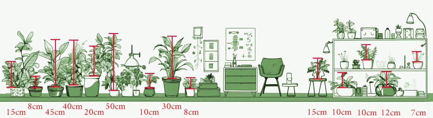 室內植物，盆栽植物，室內植物推薦，小型室內植物-2