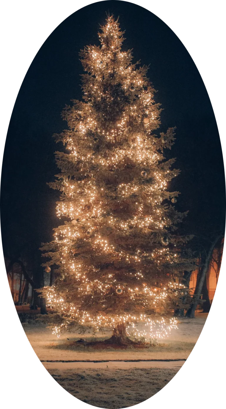 巨型聖誕樹1