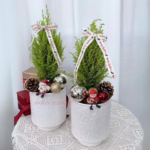 小聖誕樹，小型聖誕樹 ，小聖誕樹盆栽 -產品
