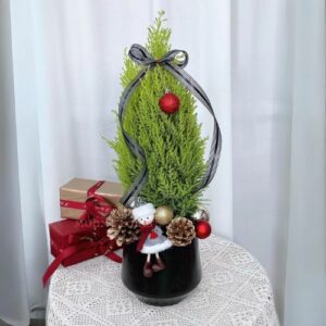 小聖誕樹，小型聖誕樹 ，小聖誕樹盆栽 -產品1