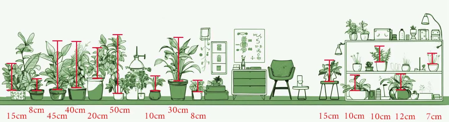 水生植物，水生植物盆栽 -3