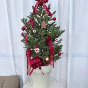 小聖誕樹，小型聖誕樹，小聖誕樹盆栽202312110201