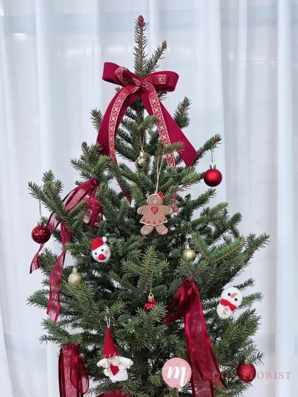 小聖誕樹，小型聖誕樹，小聖誕樹盆栽202312110202