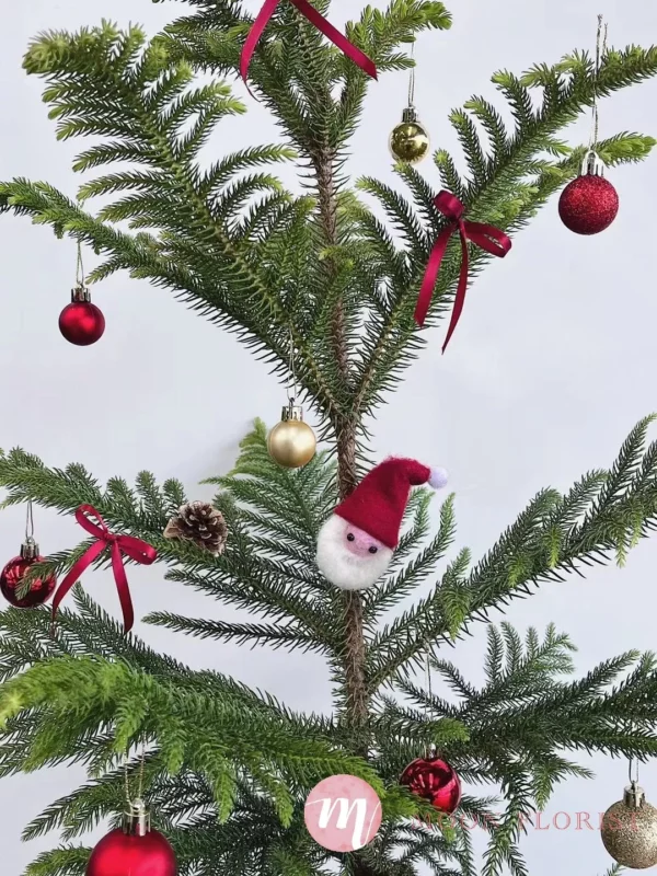 小聖誕樹，小型聖誕樹，小聖誕樹盆栽202312110102