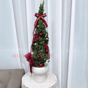 小聖誕樹，小型聖誕樹 ，小聖誕樹盆栽 -26 (1)