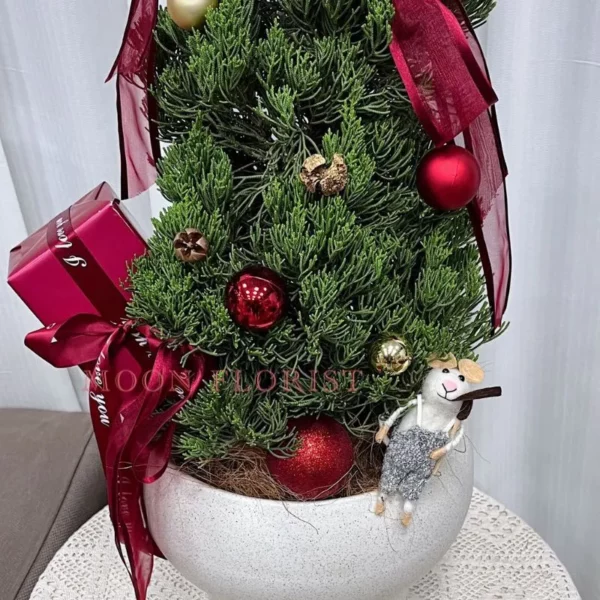 小聖誕樹，小型聖誕樹 ，小聖誕樹盆栽 -26 (2)