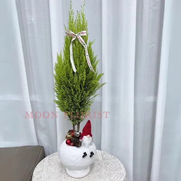 小聖誕樹，小型聖誕樹 ，小聖誕樹盆栽 -27 (1)