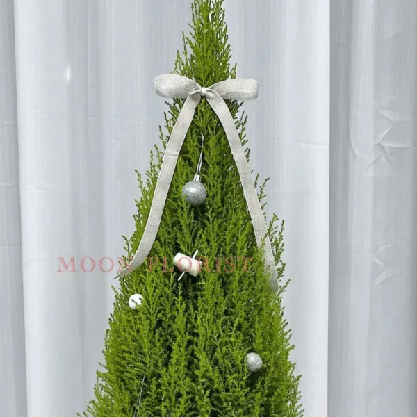 小聖誕樹，小型聖誕樹，小聖誕樹盆栽 -23 (2)