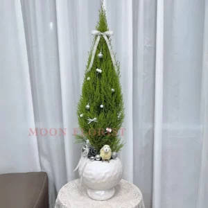 小聖誕樹，小型聖誕樹，小聖誕樹盆栽 -23 (3)