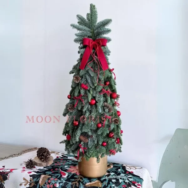 小聖誕樹，小型聖誕樹，小聖誕樹盆栽 -24 (1)