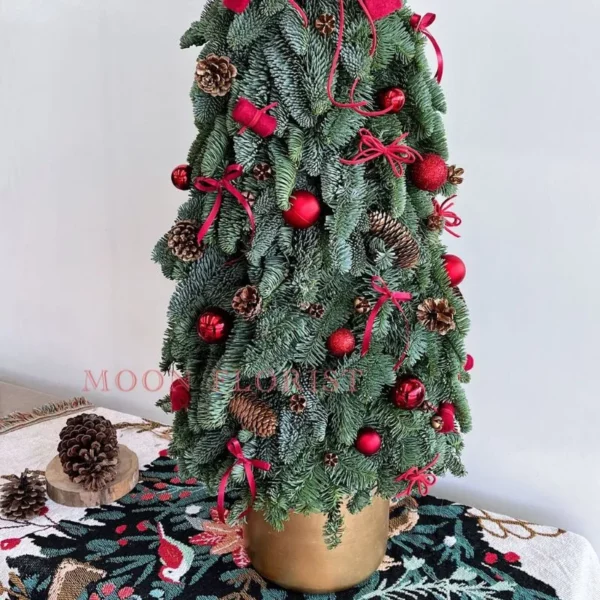 小聖誕樹，小型聖誕樹，小聖誕樹盆栽 -24 (2)