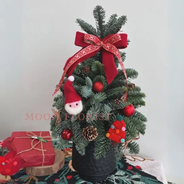 小聖誕樹，小型聖誕樹，小聖誕樹盆栽 (3)