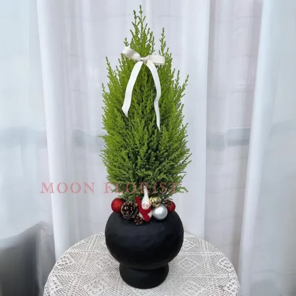小聖誕樹，小型聖誕樹，小聖誕樹盆栽 -產品22 (3)
